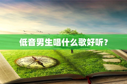 低音男生唱什么歌好听？