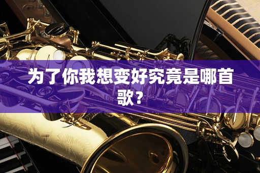 为了你我想变好究竟是哪首歌？