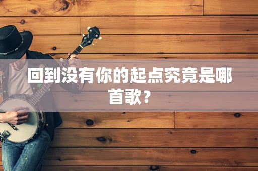 回到没有你的起点究竟是哪首歌？