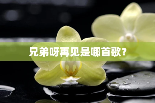 兄弟呀再见是哪首歌？