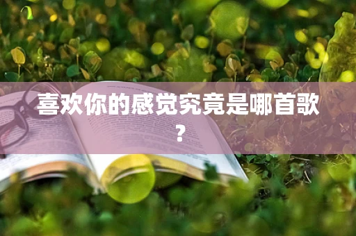 喜欢你的感觉究竟是哪首歌？
