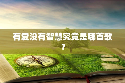 有爱没有智慧究竟是哪首歌？