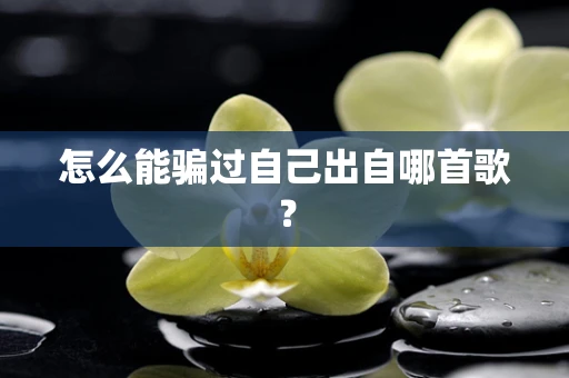 怎么能骗过自己出自哪首歌？