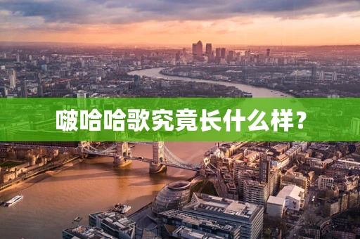 啵哈哈歌究竟长什么样？