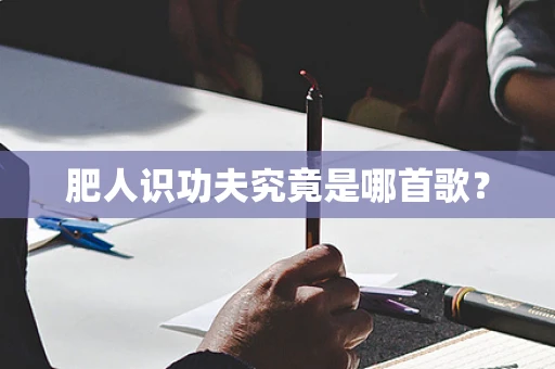 肥人识功夫究竟是哪首歌？