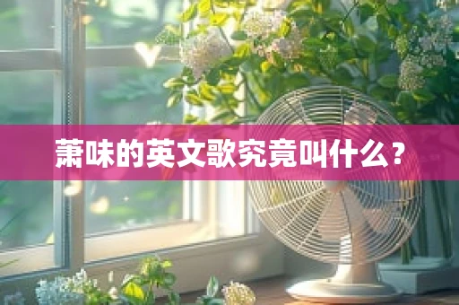 萧味的英文歌究竟叫什么？