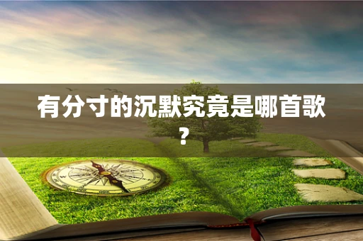 有分寸的沉默究竟是哪首歌？