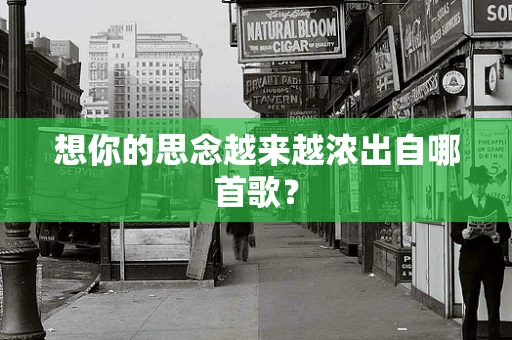 想你的思念越来越浓出自哪首歌？