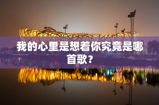 我的心里是想着你究竟是哪首歌？