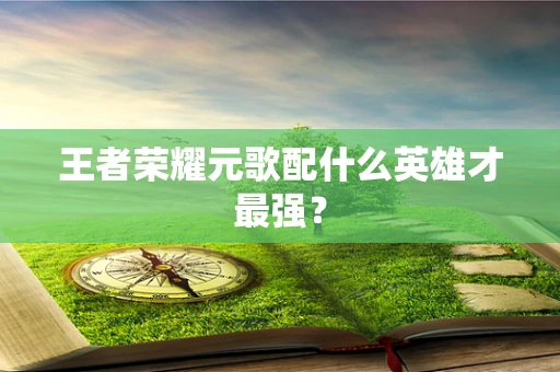 王者荣耀元歌配什么英雄才最强？