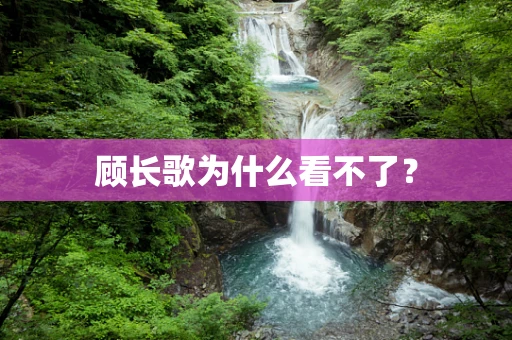 顾长歌为什么看不了？