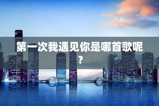 第一次我遇见你是哪首歌呢？