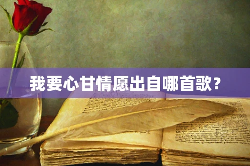 我要心甘情愿出自哪首歌？