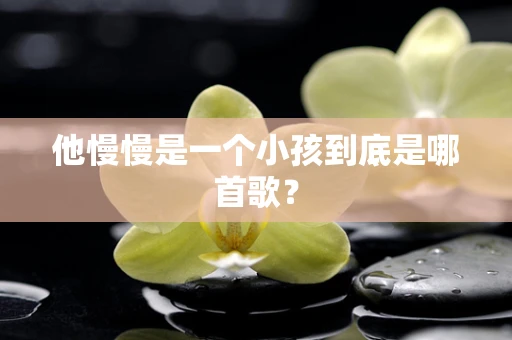 他慢慢是一个小孩到底是哪首歌？