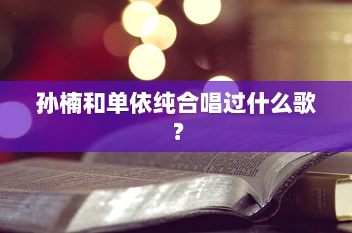 孙楠和单依纯合唱过什么歌？