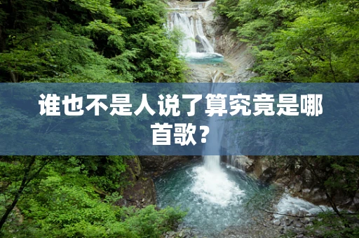 谁也不是人说了算究竟是哪首歌？