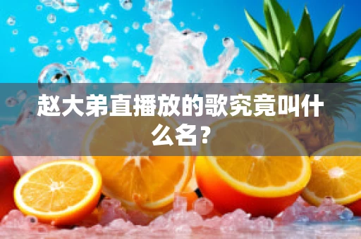 赵大弟直播放的歌究竟叫什么名？