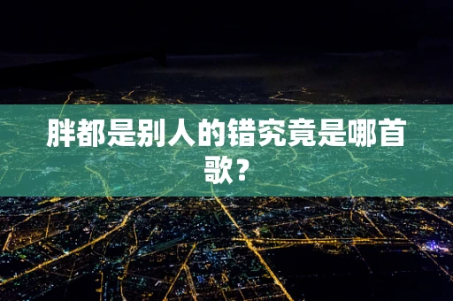 胖都是别人的错究竟是哪首歌？