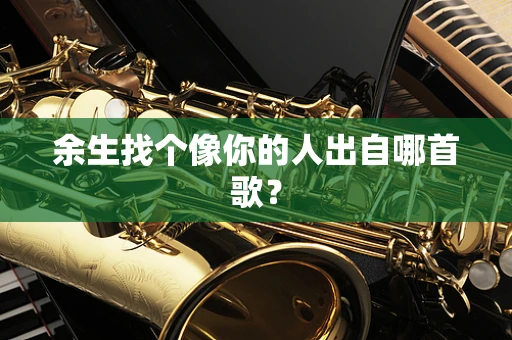 余生找个像你的人出自哪首歌？