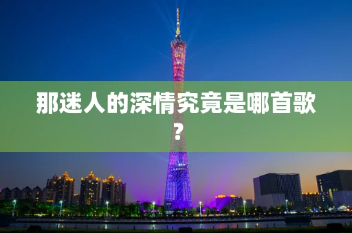 那迷人的深情究竟是哪首歌？