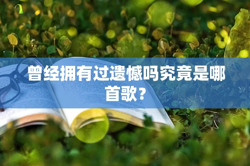 曾经拥有过遗憾吗究竟是哪首歌？