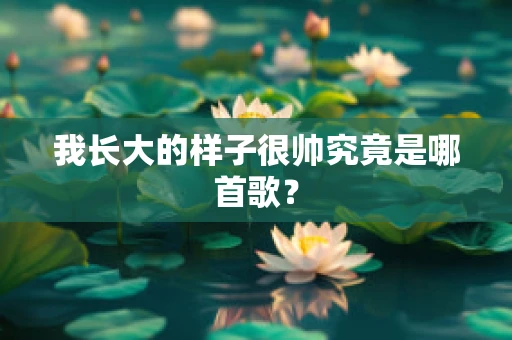 我长大的样子很帅究竟是哪首歌？