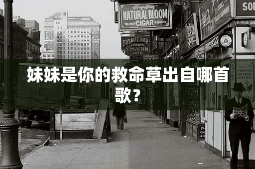 妹妹是你的救命草出自哪首歌？