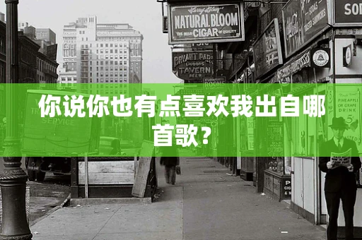 你说你也有点喜欢我出自哪首歌？