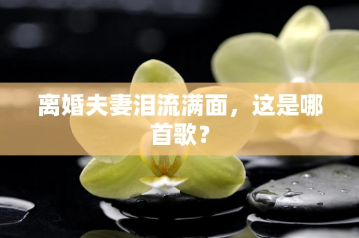 离婚夫妻泪流满面，这是哪首歌？