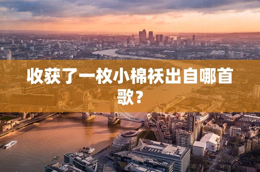 收获了一枚小棉袄出自哪首歌？