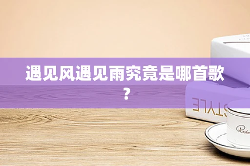 遇见风遇见雨究竟是哪首歌？