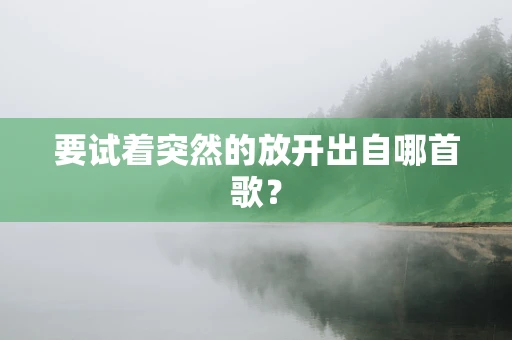要试着突然的放开出自哪首歌？