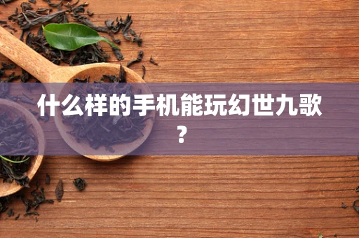什么样的手机能玩幻世九歌？