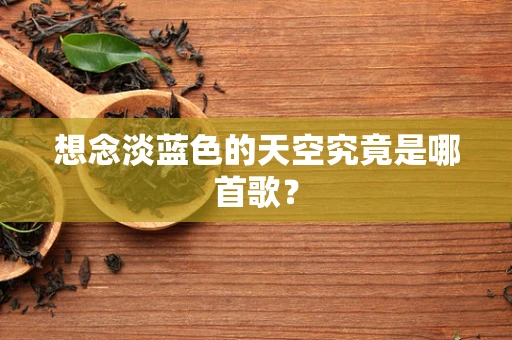 想念淡蓝色的天空究竟是哪首歌？