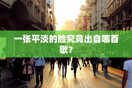 一张平淡的脸究竟出自哪首歌？