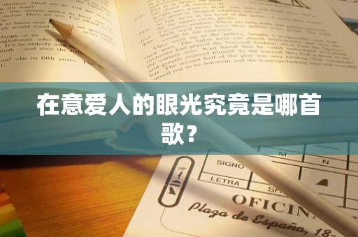 在意爱人的眼光究竟是哪首歌？