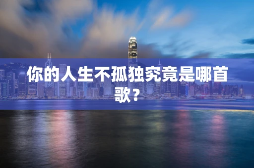 你的人生不孤独究竟是哪首歌？