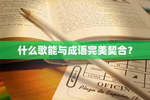 什么歌能与成语完美契合？