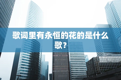 歌词里有永恒的花的是什么歌？