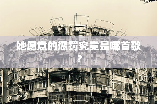 她愿意的惩罚究竟是哪首歌？