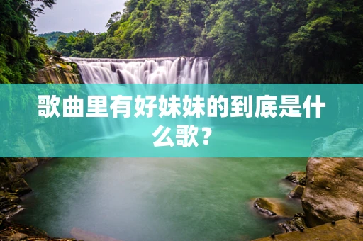 歌曲里有好妹妹的到底是什么歌？