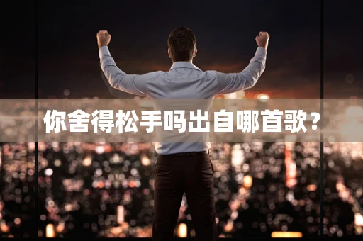 你舍得松手吗出自哪首歌？