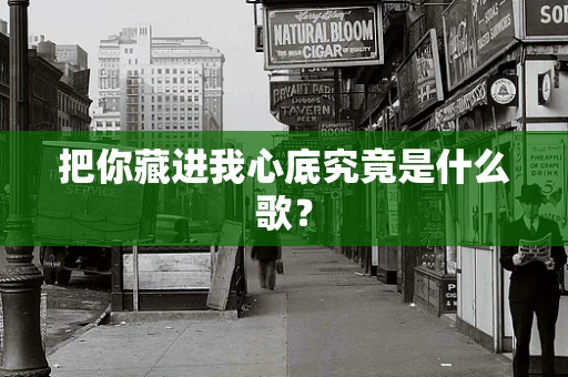 把你藏进我心底究竟是什么歌？