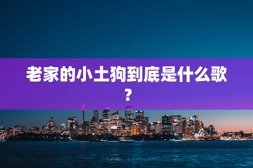 老家的小土狗到底是什么歌？