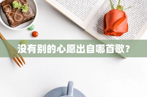 没有别的心愿出自哪首歌？
