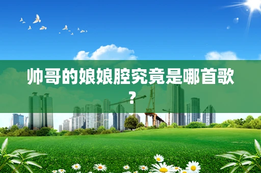 帅哥的娘娘腔究竟是哪首歌？