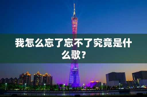 我怎么忘了忘不了究竟是什么歌？