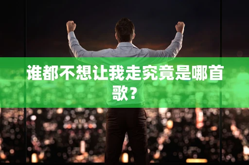 谁都不想让我走究竟是哪首歌？