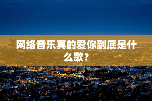 网络音乐真的爱你到底是什么歌？