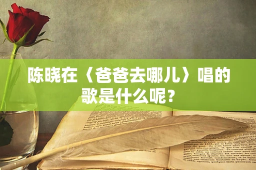 陈晓在〈爸爸去哪儿〉唱的歌是什么呢？